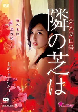 大西部 电影 2013 美国